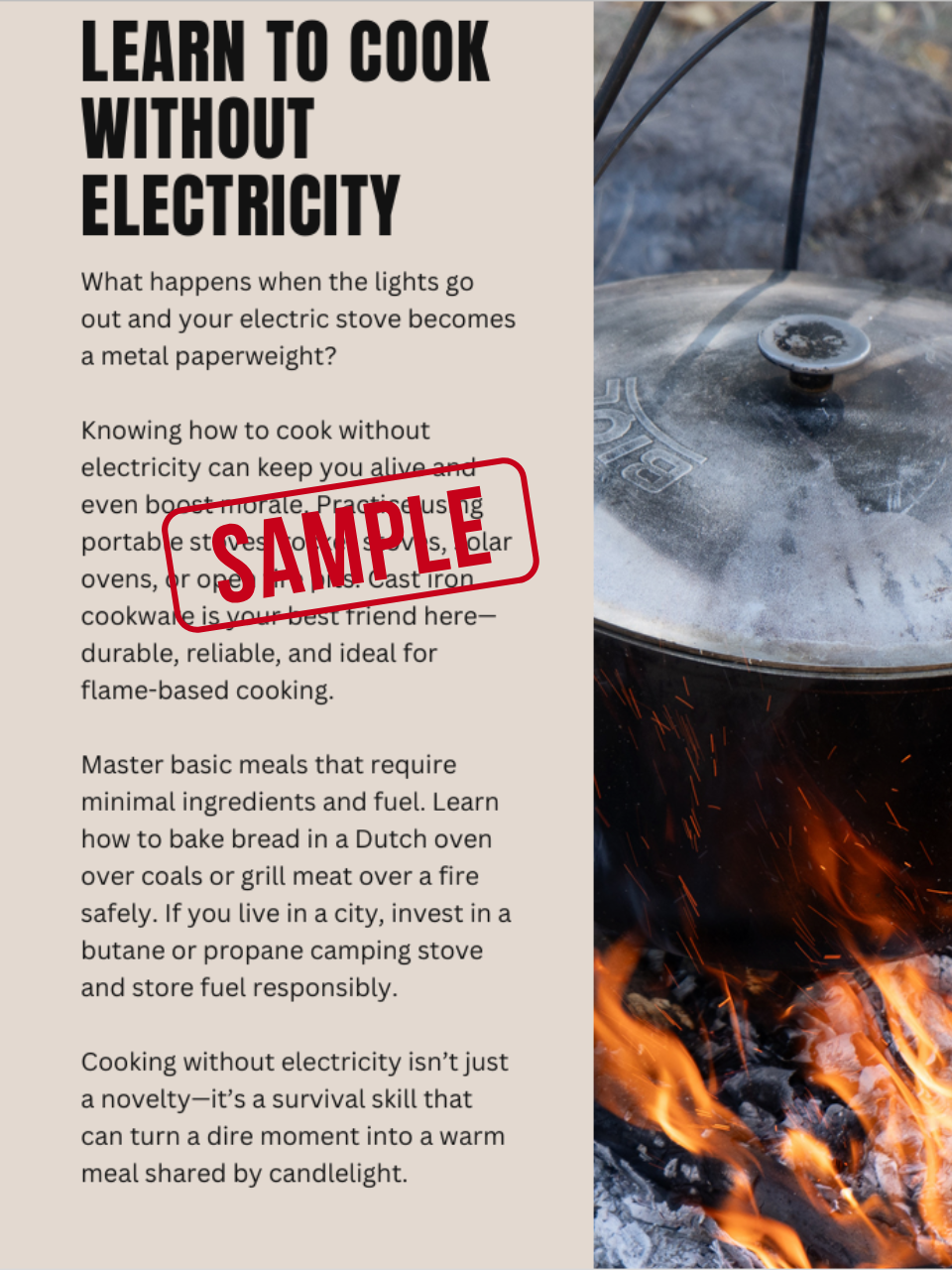 Survival Prepping: Practical Tips for Resilience and Preparedness | Printable