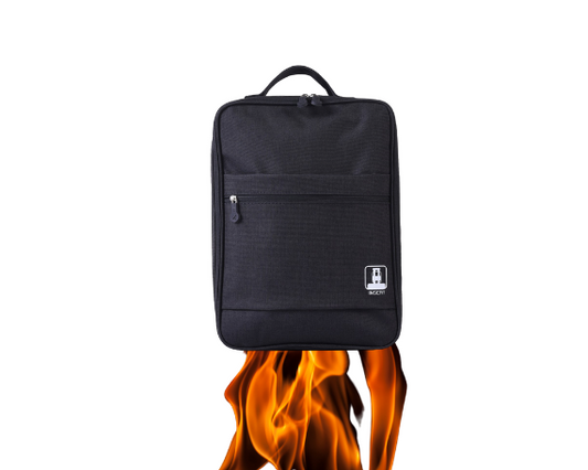 Shoe Carrier for Guys