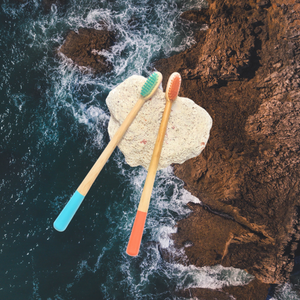 Stylish Eco Friendly Tooth Brush Orange and Blue Set of 2